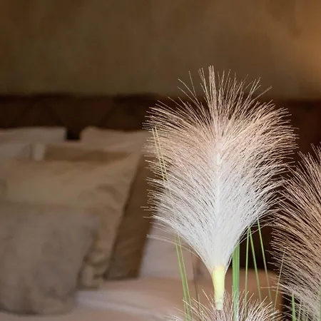Eighty One Horse Boulevard 3* Валкенсвард