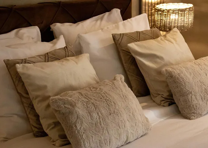 Panzió Eighty One Horse Boulevard