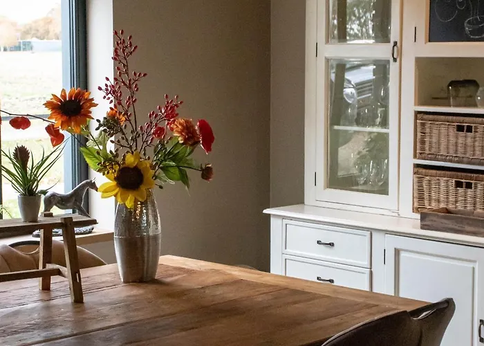 Bed and breakfast Eighty One Horse Boulevard *