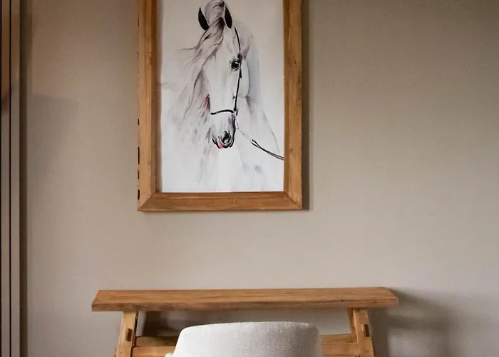 Bed and breakfast Eighty One Horse Boulevard